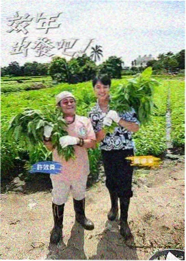 青青青草视频选秀综艺